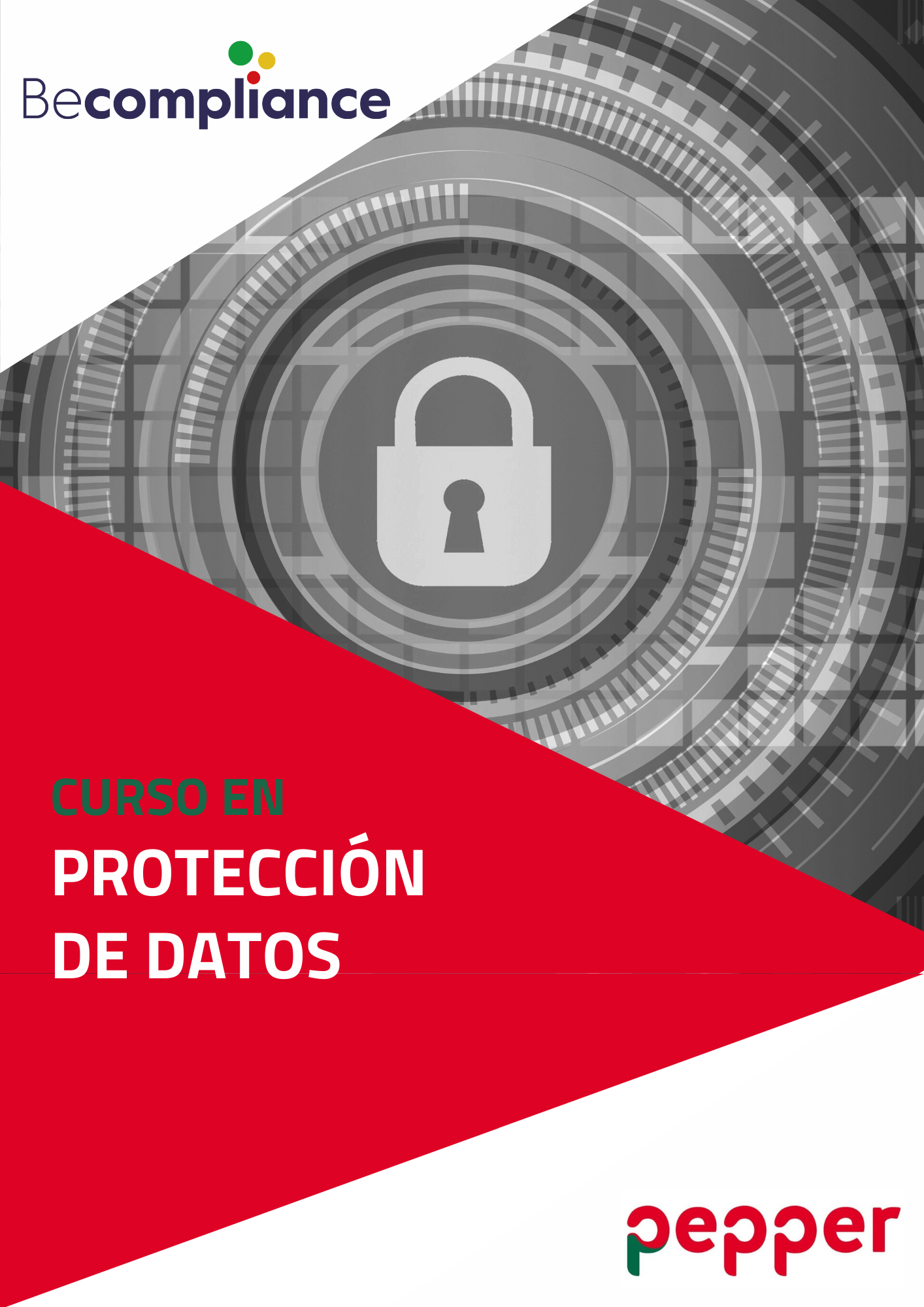 Curso en Protección de Datos PSS 2022